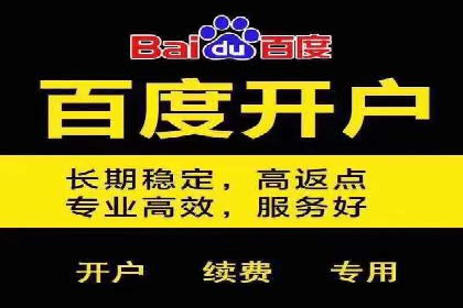 竞价端口开户成功助力企业增长